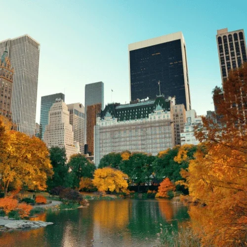 Apple Service 1 Supporting Image 2