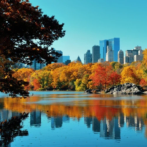 Apple Service 2 Supporting Image 1